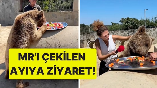 Show TV Muhabiri, Hastanede MR'ı Çekilen Ayı Okan'ı Ziyaret Etti!