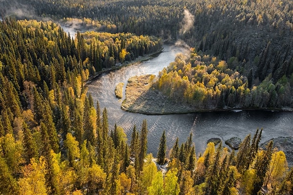 Her ne kadar Ostrobothnia bölgesi dikkat çekse de tablo tamamen net değil.