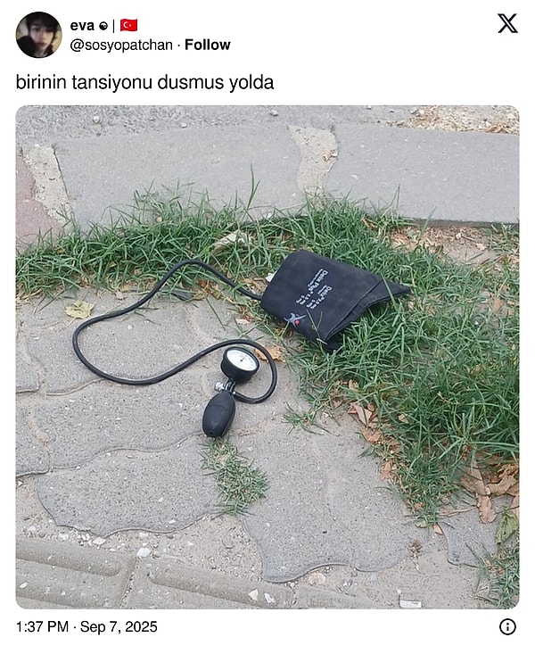 Hazırsanız, başlayalım...