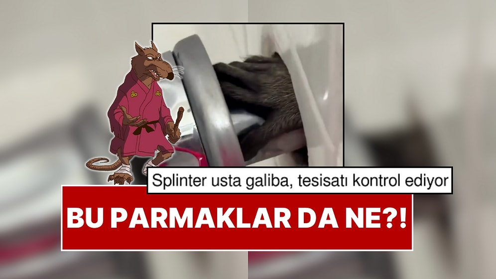 İspanya'da Bir Kişinin Banyosunda Gördüğü 'Parmaklar' Şok Etkisi Yaratabilir!