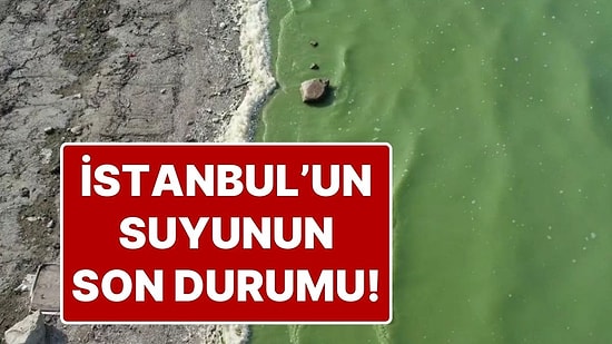 İstanbul'un En Önemli İçme Suyu Kaynaklarından Durugöl'ün Balaban Kıyısı Yeşile Büründü