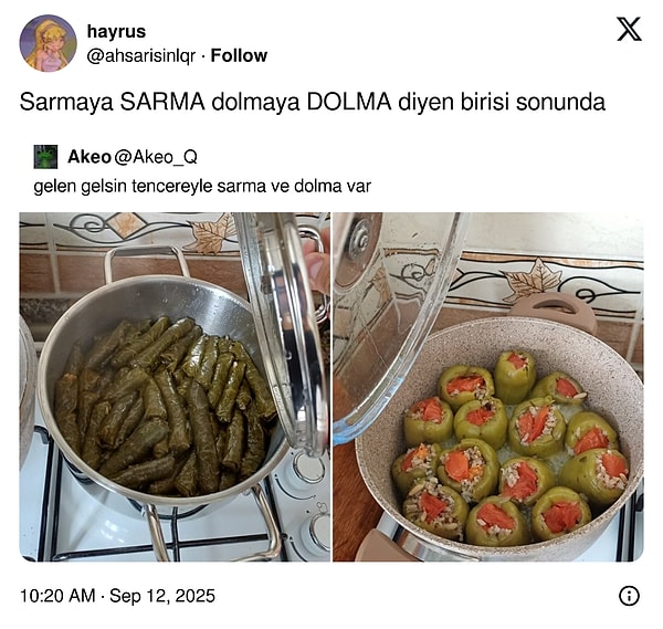 Ağlamıyorum gözüme bir şey kaçtı :')