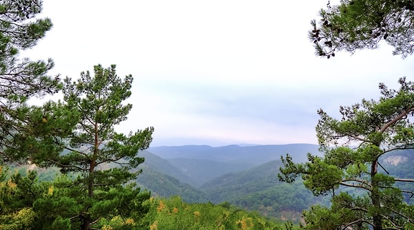 1. Connecting with Nature in Kaz Mountains National Park