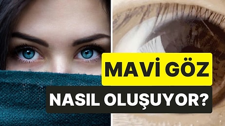 Her Şey Genlerde Saklı: Mavi Gözlerin Aslında Gerçekten Mavi Olmadığını Biliyor muydunuz?