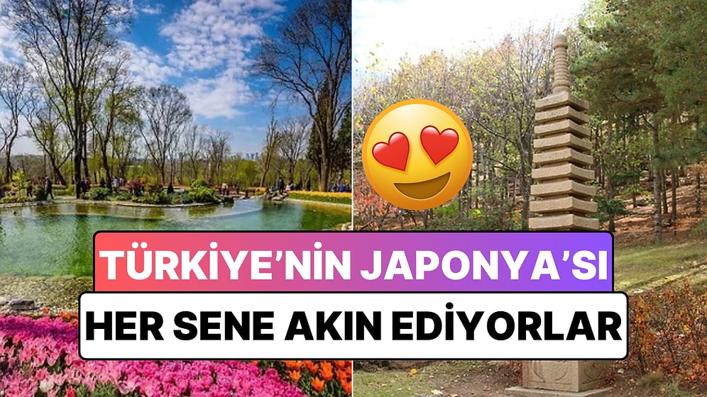 Anadolu'nun Bağrında Japonların Akın Ettiği Köy: Meğer Zamanında Prensleri Bizzat Yaptırmış!