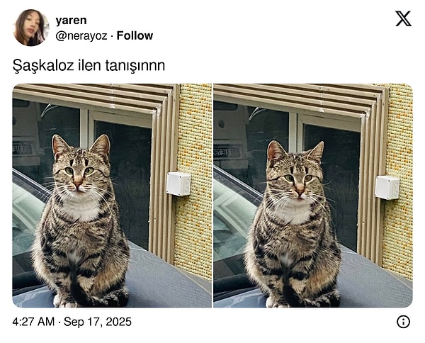 👇
