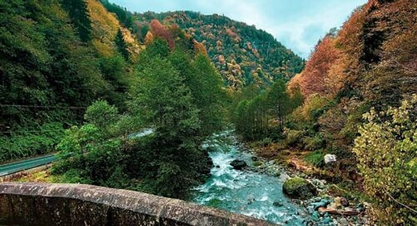2. Trabzon - Rize - Ayder