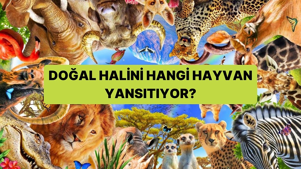 Senin Doğal Halin Hangi Hayvanı Yansıtıyor?
