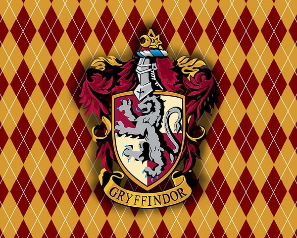 Sen Gryffindor'sun!