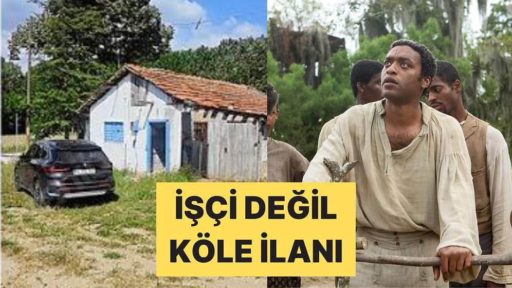 Bir Mülk Sahibi Tarlasında Ücretsiz Çalışacak İşçi İlanı Verdi