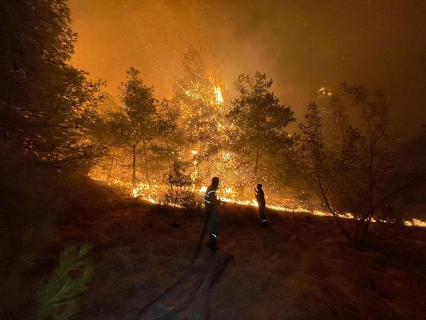 Antalya’nın Alanya ilçesi Ali Efendi Mahallesi’nde gece saat 23.00 sıralarında başlayan orman yangını, sabahın ilk ışıklarıyla birlikte havadan ve karadan müdahale edilerek söndürülmeye çalışılıyor.
