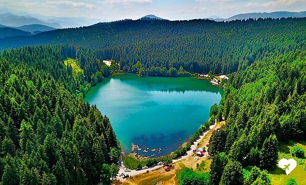 Artvin