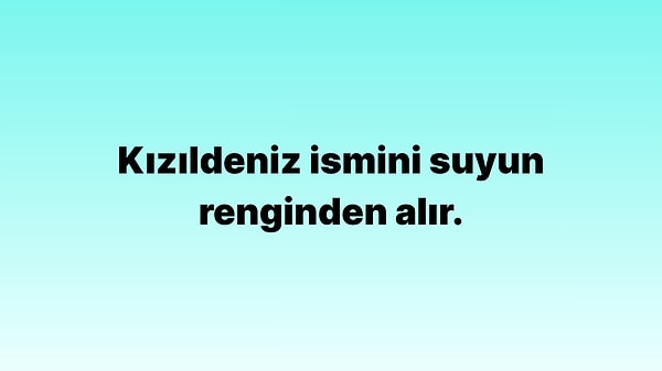 14#