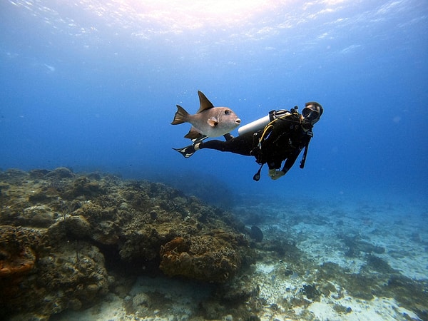 4. Diving and Snorkelling Experience in Fethiye