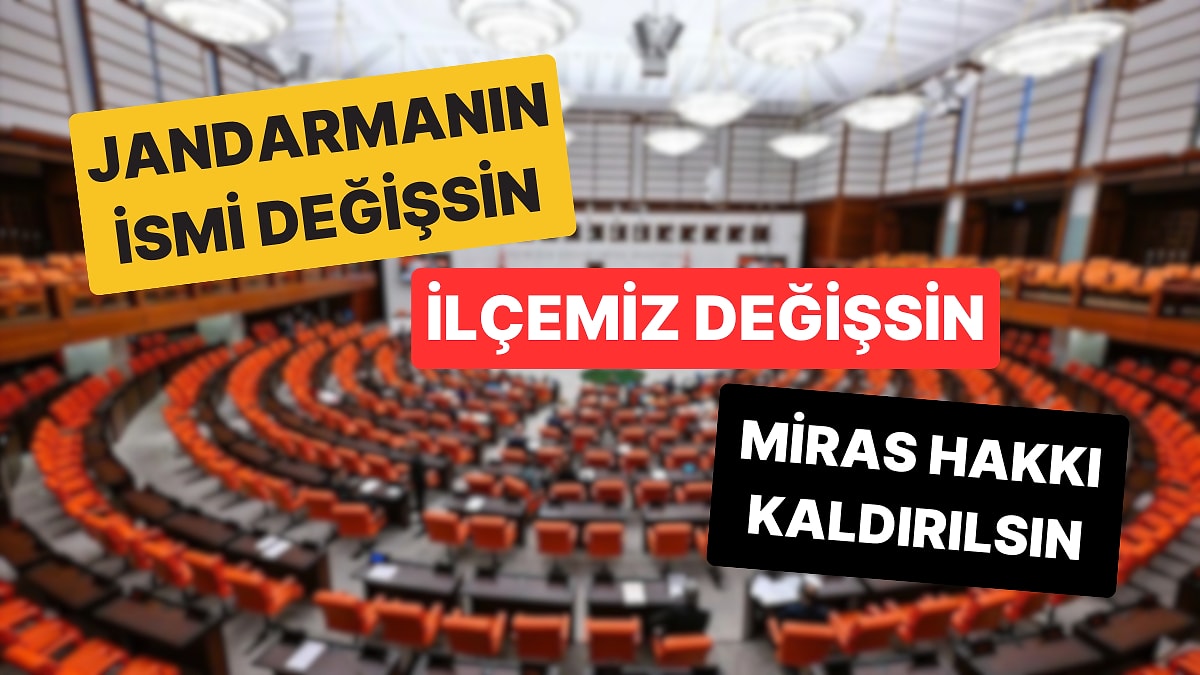 Vatandaşların TBMM&apos;ye İlettiği &quot;Başka Ülkede Yaşayamam&quot; Dedirten İlginç Talepler