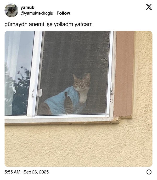 👇