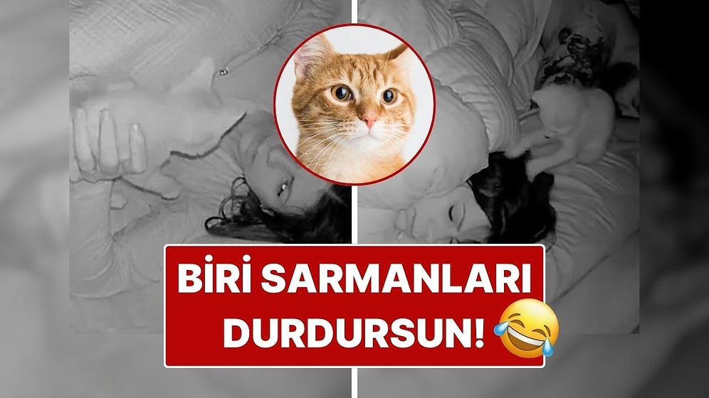 Sarman Kedinin Sahibini Bir Türlü Uyutmadığı Anlar Yüz Güldürdü