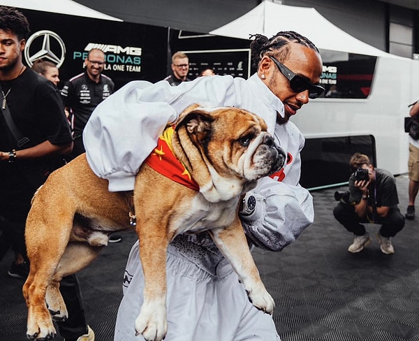 Hamilton ve köpeği Roscoe sık sık yarışlarda karşımıza çıkıyor.