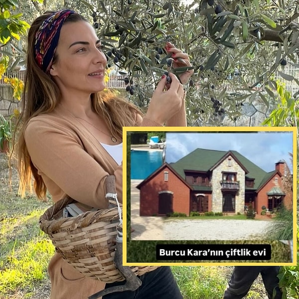 Uzun yıllardır ailesinin de zeytin üreticiliğiyle uğraştığını söyleyen Burcu Kara, bir çiftlik satın aldı ve eşiyle beraber zeytinyağı üretimine başladı.