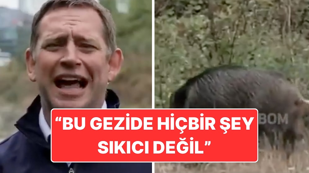 Galatasaray-Liverpool Maçı İçin İstanbul’a Gelen Sky Sports Tesisin Yakınında Yaban Domuzunu Görüntüledi