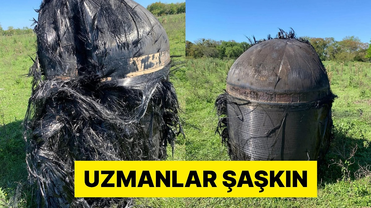 Arjantin&apos;de Bir Çiftliğe Düşen Tüylü Nesnenin Ne Olduğu Araştırılıyor