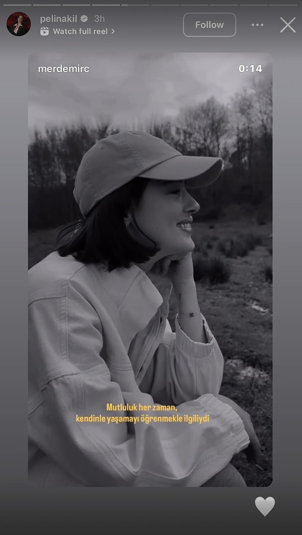 Gelişmelerin ardından Pelin Akil, sosyal medya hesabından dikkat çeken bir hikaye paylaştı.