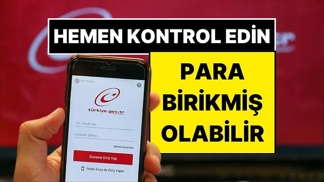 e-Devlet’inizde Para Birikmiş Olabilir! Paranızı Çekmeyi Unutursanız Devlete İade Edilecek