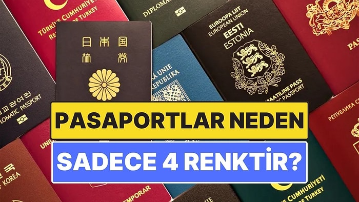 Pasaportlar Neden Sadece Dört Renktir?