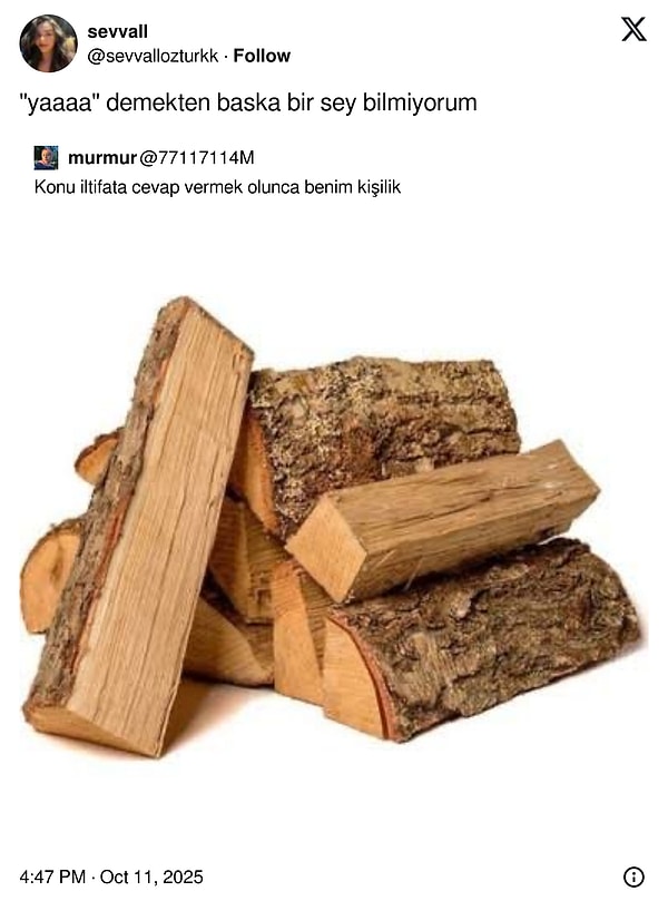 Ne deniyor ki başka?