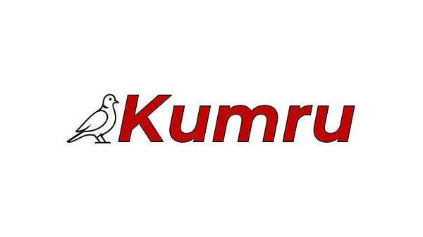 Yerli Yapay Zeka Kumru Nedir, Nasıl Çalışır?