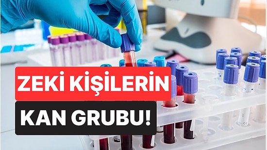 Kan Grubunuz Zekanızı Etkileyebilir! Bilim İnsanlarına Göre En Zeki Kişiler Bu Kan Grubuna Sahip
