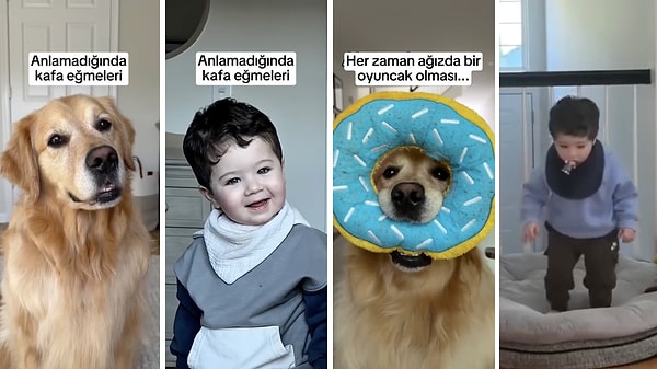 Birbirlerini taklit edebilirler.