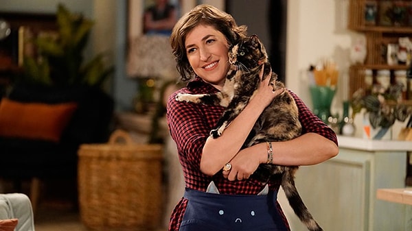 So how do you know if you are your cat's favorite in the house?