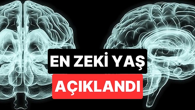 Bilim İnsanları Açıkladı: Bu Yaşta Beynimiz Zirve Noktaya Ulaşıyor