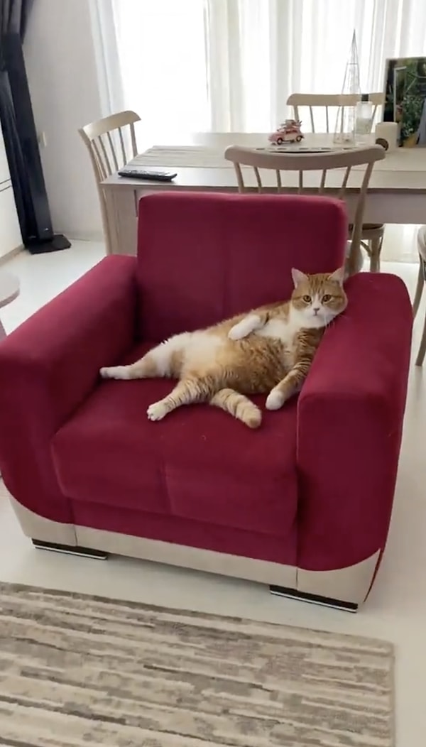 Müge Anlı'nın programını hepimiz biliyoruz.