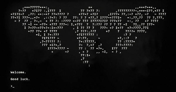 Numerous theories have been proposed regarding the identity of Cicada 3301.