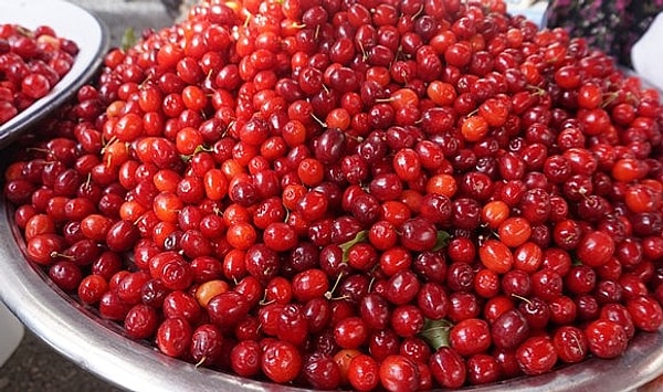 Kızılcık şerbetinin faydaları dikkat çekiyor.