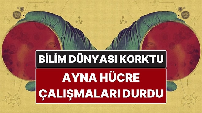 Yaşamı Tehdit Edebilecek "Ayna Hücre" Çalışmaları Durduruldu! Bilim Dünyası Alarmda