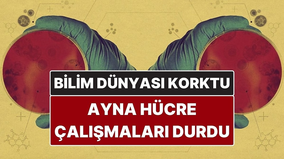Yaşamı Tehdit Edebilecek "Ayna Hücre" Çalışmaları Durduruldu! Bilim Dünyası Alarmda