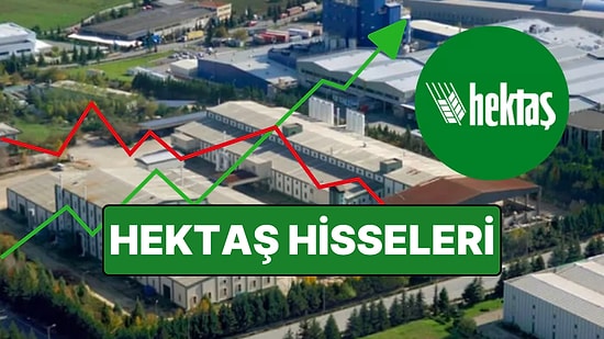 HEKTAŞ Kimin, Ne Zaman Kuruldu ve Ortakları Kimler? HEKTAŞ Hisse Senedi Fiyatı ve Ayrıntıları