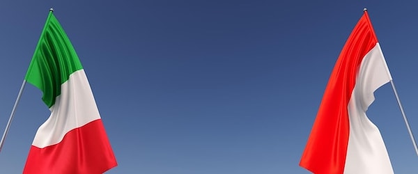 10. Hangisinin ekonomisi daha büyük: Endonezya mı İtalya mı?