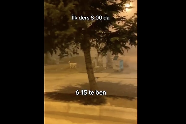 Kalıcı yaz saati uygulaması neden var?