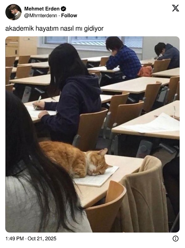Yarın görüşürüz 👋