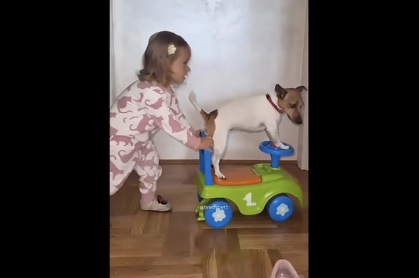 Sorumluluk duygusu ve empatinin anahtarı.