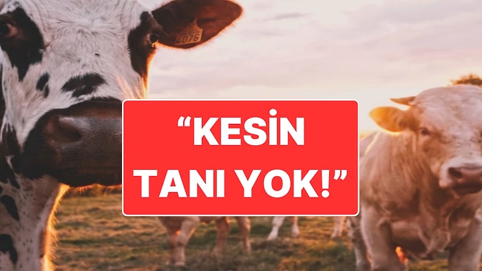 Ankara’da Deli Dana Hastası Olduğu İddia Edilmişti: Hastane İddiaları Yalandı, Tetkiklerin Sürdüğünü Açıkladı