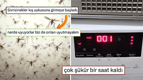 4500 TL'den Ucuz Telefondan Sivrisineklerden Alma İntikam Hazırlığı Yapana Son 24 Saatin Viral Tweetleri