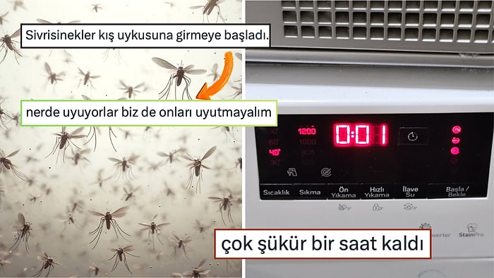 4500 TL'den Ucuz Telefondan Sivrisineklerden Alma İntikam Hazırlığı Yapana Son 24 Saatin Viral Tweetleri