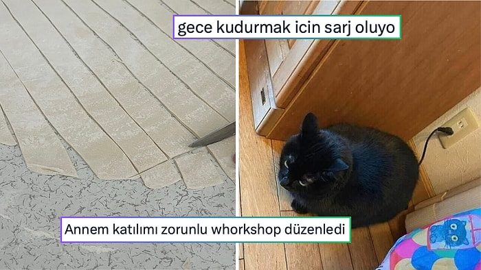 Kudurmak İçin Şarj Olan Kediden Anneden Gelen Zorunlu Workshop'a Son 24 Saatin Viral Tweetleri