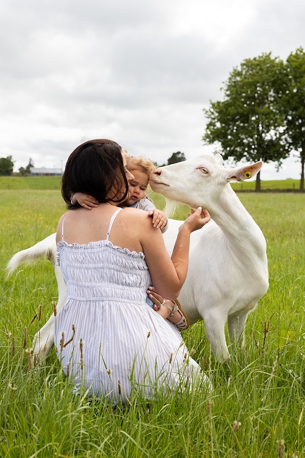 Son yıllarda birçok anne, çocuklarının beslenmesinde doğal ve güvenilir içeriklere yöneliyor.