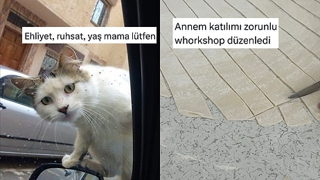 Günlük Hayatta Karşılaştıkları Manzaralardan Mizah Çıkaran Twitter Kullanıcıları